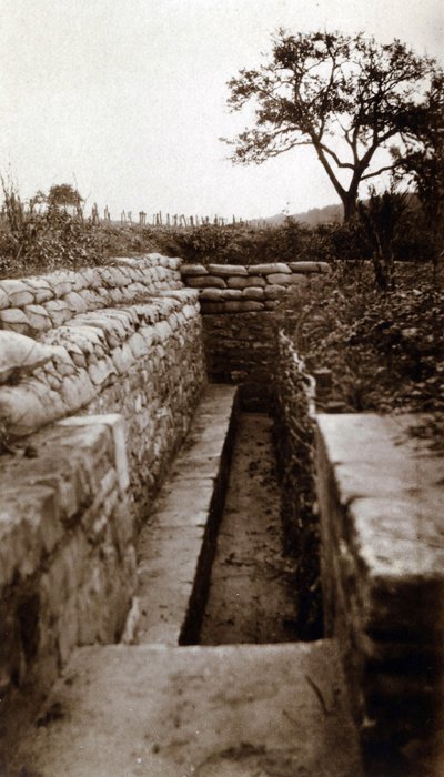 Première Guerre mondiale (1914-1918) : vue d