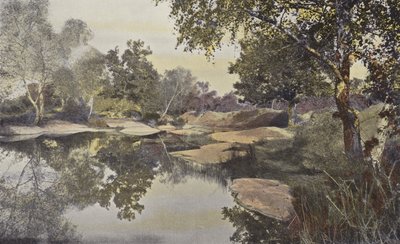 Fontainebleau, Forêt, Mare de Franchard - French Photographer