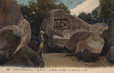 Fontainebleau, La Forêt, Le Rocher de Milet et de Rousseau - French Photographer