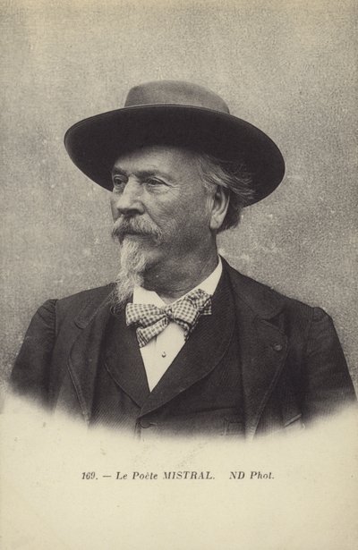Frédéric Mistral (1830-1914), poète et lexicographe français de la langue occitane - French Photographer