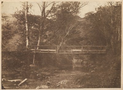 Paysage avec arbres et pont,v. 1850 (photo) - French Photographer