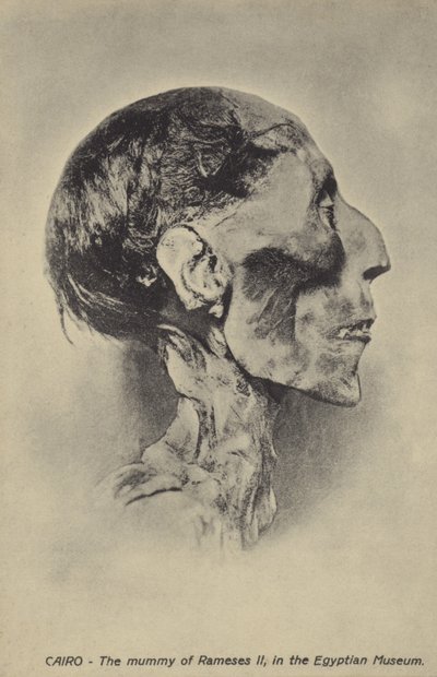 Momie de Ramsès II - French Photographer