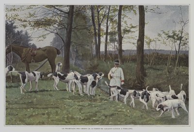 Meute de chiens du Baron de Carayon-Latour à Virelade, France (photo couleur) - French Photographer