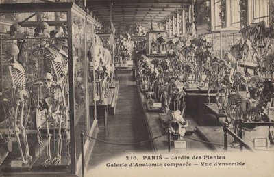 Paris, Jardin des Plantes - French Photographer