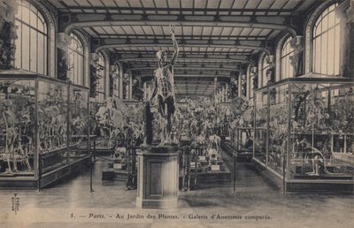 Paris, Jardin des Plantes - French Photographer