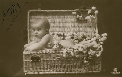 Bébé dans un panier en osier avec des fleurs - French Photographer