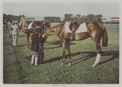Chevaux de course à Deauville, France - French Photographer