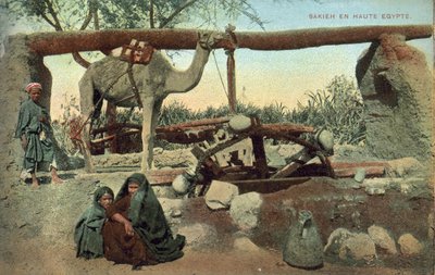 Sakia, Haute-Égypte (photo couleur) - French Photographer