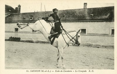 Saumur (Maine-et-Loire), École de Cavalerie, La Croupade - French Photographer