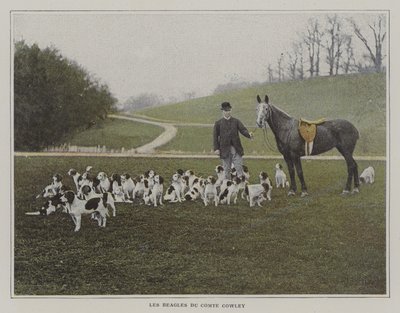 Les beagles du Comte Cowley (photo couleur) - French Photographer
