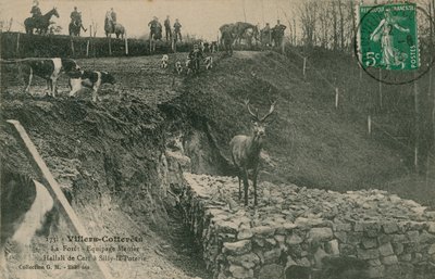 Villers-Cotterêts. La Forêt - Equipage Menier Hallali de Cerf à Silly-la-Poterie - French Photographer