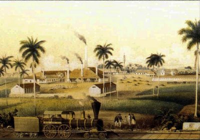 14784N Fabrication de rhum dans les Caraïbes Collection - French School
