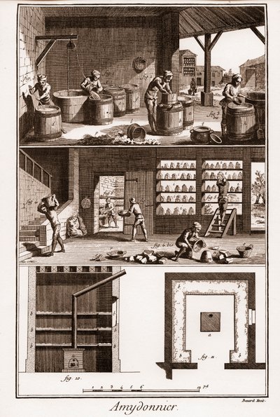 Amydonnier - « La Grande Encyclopédie, ou Dictionnaire Raisonné des Sciences, des Arts et des Métiers » par Denis Diderot (1713-1784) et Jean d