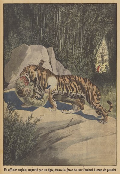 Un officier britannique, emporté par un tigre, trouve la force de tuer l