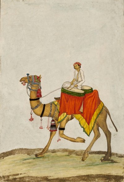 Un chameau avec son cavalier jouant des tambours, vers 1840 - French School