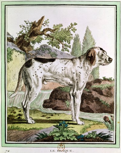 Un pointeur, illustration de l