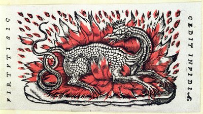 Une salamandre, 1ère moitié du XVIe siècle - French School