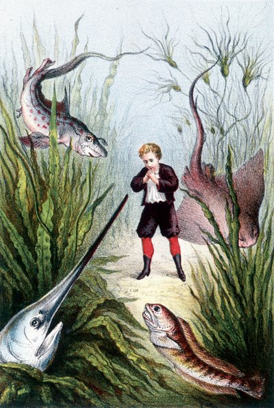 Un garçon entouré de poissons géants - dans « Voyage au fond de la mer » par H. de la Blanchère. Paris, éd. Jouvet et Cie, sd. 1880. (double 02941) - French School