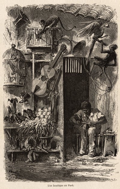 Une boutique à Para, illustration pour le voyage de M. Biard au Brésil en 1858-1859. Gravure dans "Le tour du monde" 1861. Collection Selva - French School