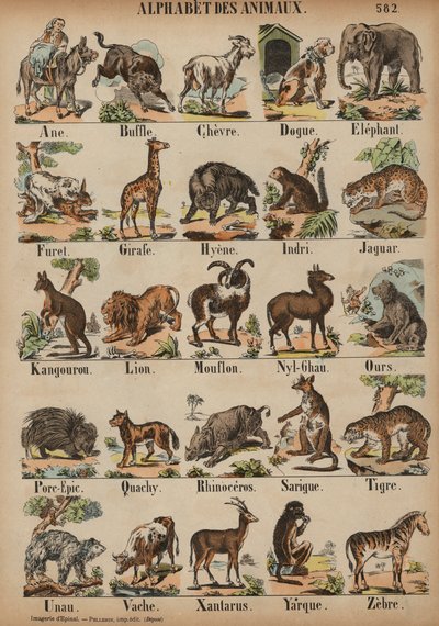 De A à Z des animaux - French School