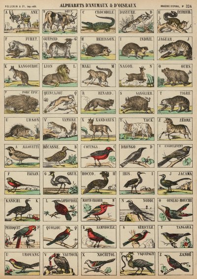 De A à Z des animaux et des oiseaux - French School