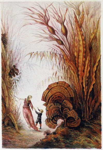 Une femme et un garçon marchant dans le monde sous-marin - dans "Voyage au fond de la mer" par H. de la Blanchère. Paris, éd. Jouvet et Cie, sd. 1880. - French School
