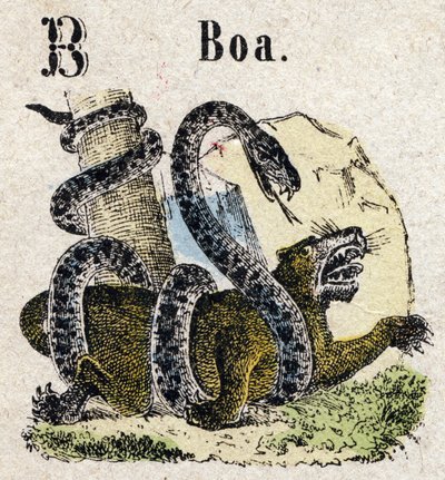 Abécédaire. Lettre B comme Boa. Petit alphabet encyclopédique, série populaire. Imagerie d