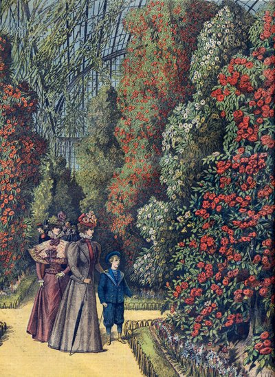 Jardin d