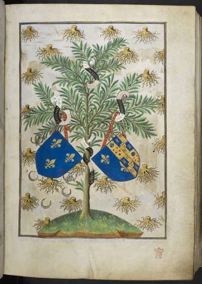 Page armoriale, du Livre d