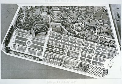 Vue aérienne du plan du Jardin des Plantes à Paris, 1842 - French School