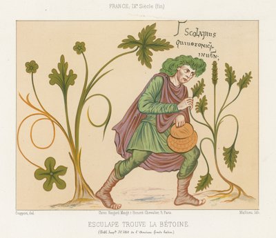 Esculape découvrant la bétoine - French School