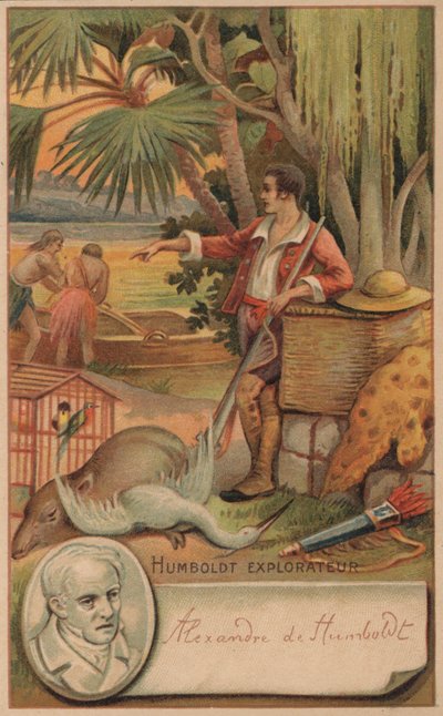 Alexander von Humboldt, géographe, naturaliste et explorateur prussien - French School
