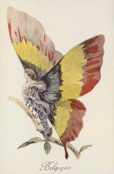 Représentation allégorique de la Belgique sous forme de papillon (lithographie couleur) - French School