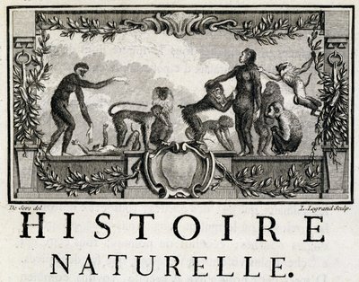 Allégorie d