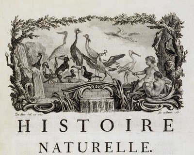 Allégorie d