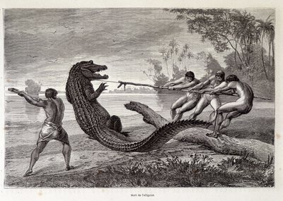 Chasse à l
