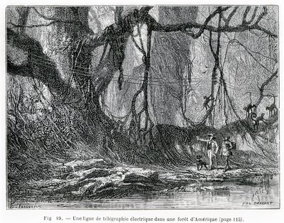 Une ligne de télégraphe électrique dans une forêt américaine, vers 1870 (gravure) - French School