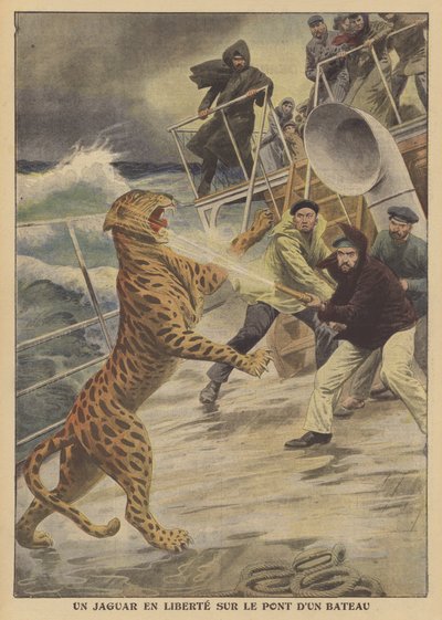 Un jaguar échappé en liberté sur un navire - French School