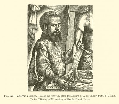 André Vésale - French School