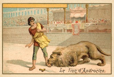 Androclès et le Lion - French School