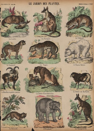 Animaux au Jardin des Plantes, Paris, France - French School