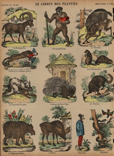 Animaux au Jardin des Plantes, Paris, France - French School