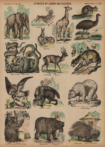 Animaux du Jardin des Plantes, Paris, France - French School