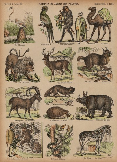 Animaux du Jardin des Plantes, Paris, France - French School