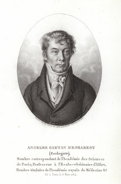 Anselme Gaëtan Desmarest - French School