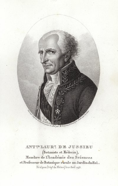 Antoine Laurent de Jussieu - French School