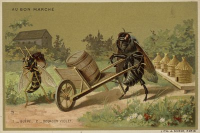 Cartes Au Bon Marché représentant des insectes anthropomorphes - French School