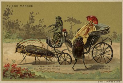 Cartes Au Bon Marché représentant des insectes anthropomorphes - French School
