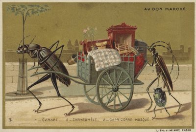 Cartes Au Bon Marché représentant des insectes anthropomorphes - French School