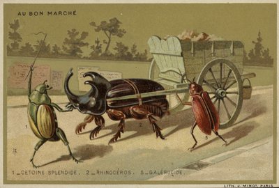 Cartes Au Bon Marché représentant des insectes anthropomorphes - French School